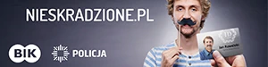 skradzione